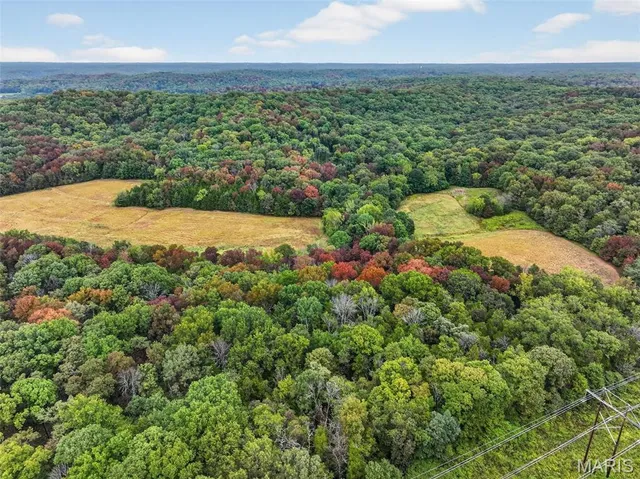 $160,000 | 10-ac Lot3 10-ac Lot3 Circle, Marthasville, MO 63357