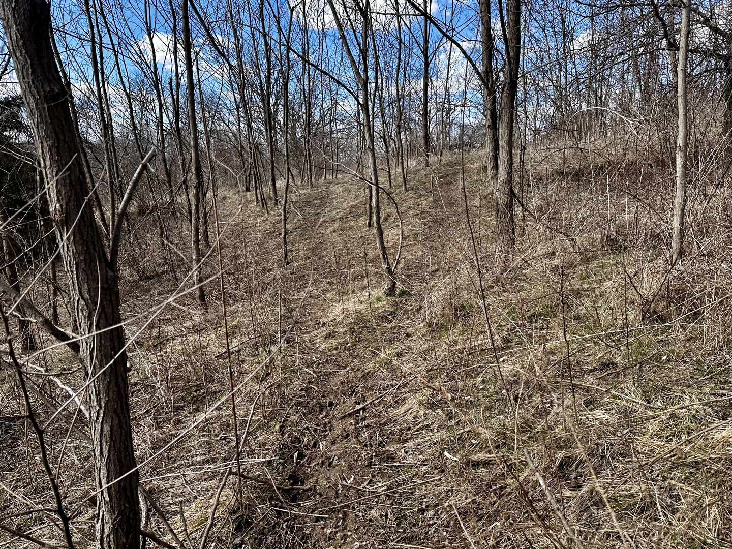 0 West Winneshiek Road Freeport, IL 61032 - Photo 47 of 59