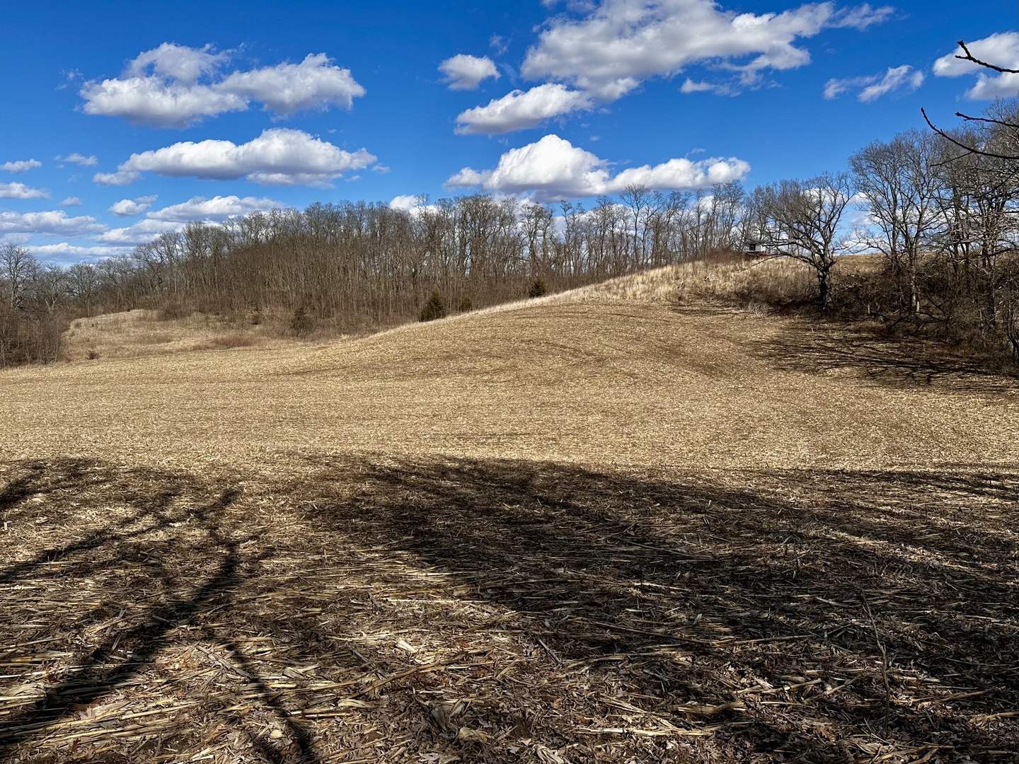 0 West Winneshiek Road Freeport, IL 61032 - Photo 48 of 59