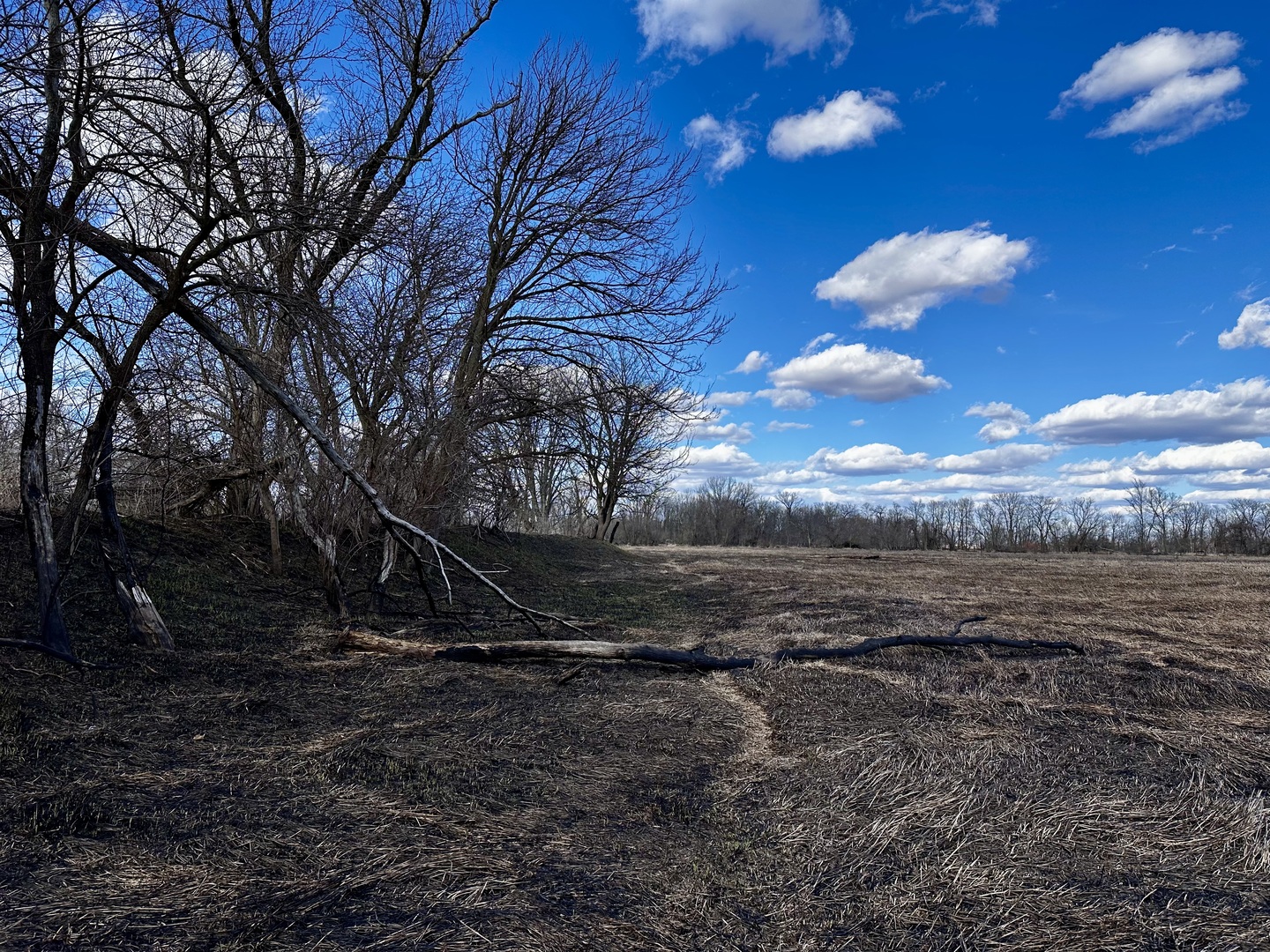 0 West Winneshiek Road Freeport, IL 61032 - Photo 51 of 59