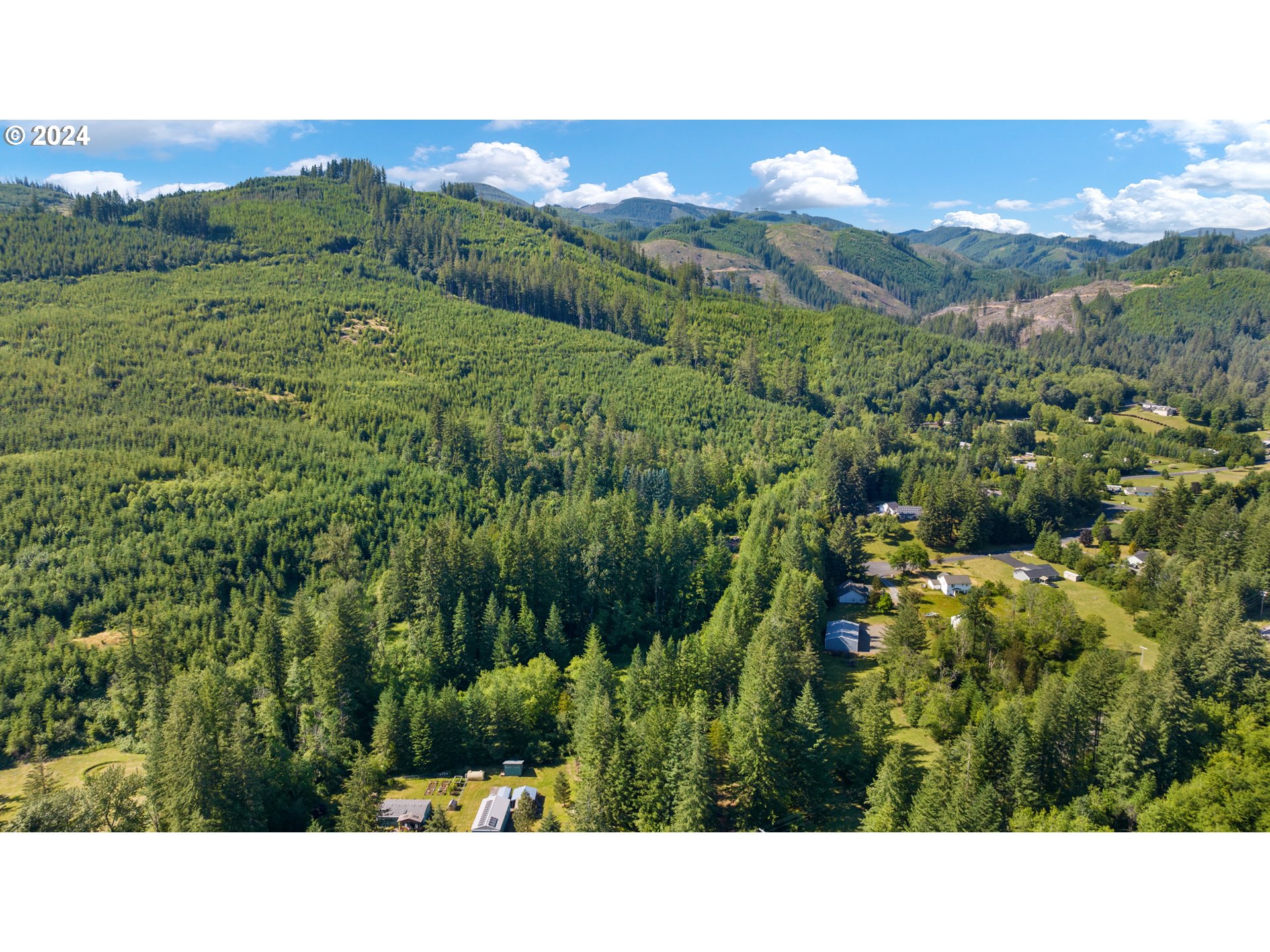 14644 Lewis River Road Ariel, WA 98603 - Photo 13 of 28