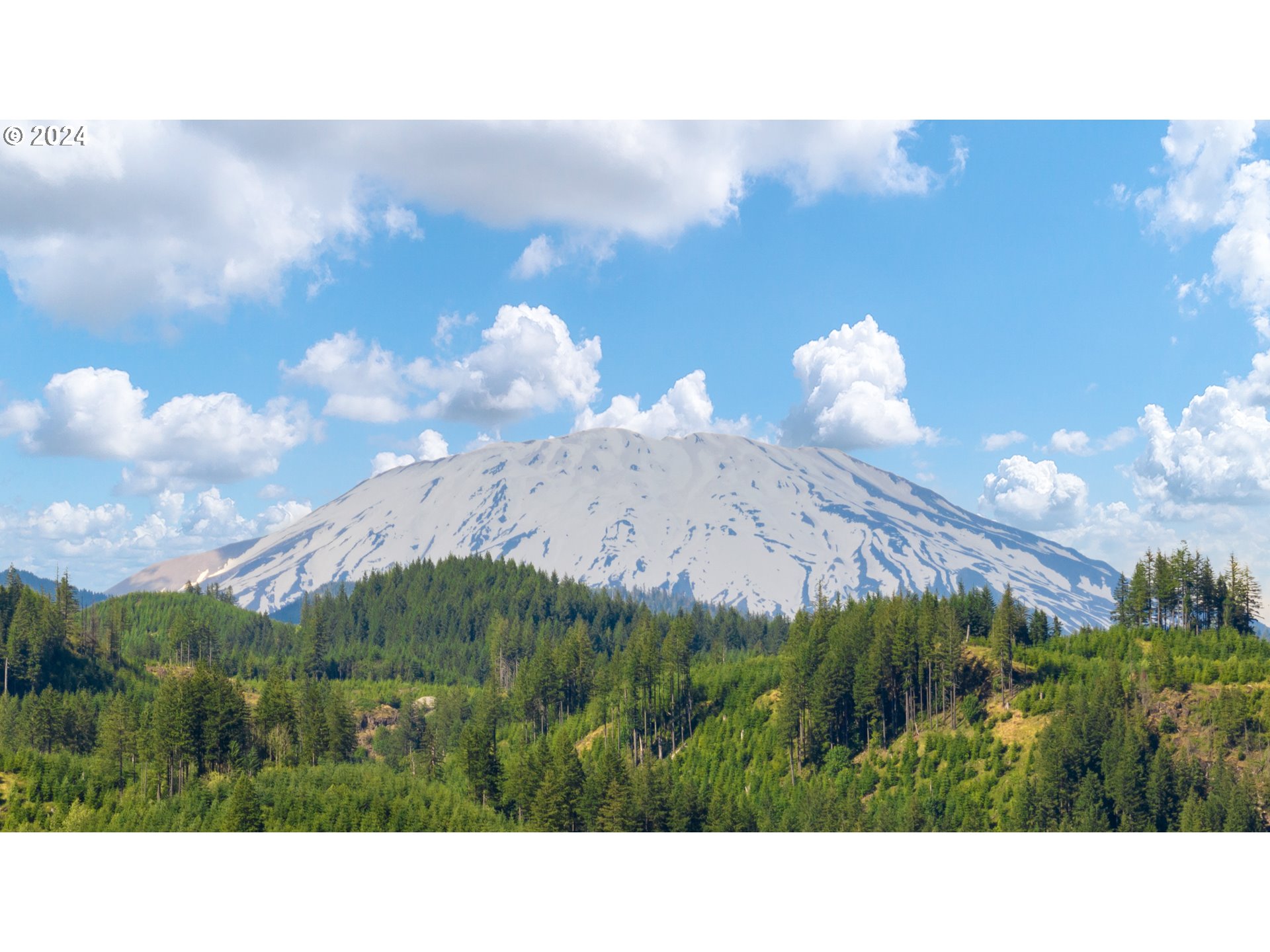 14644 Lewis River Road Ariel, WA 98603 - Photo 15 of 28 a open area with lots of green trees