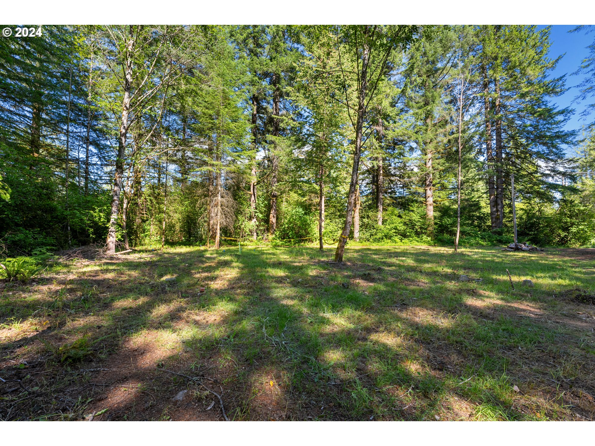 14644 Lewis River Road Ariel, WA 98603 - Photo 18 of 28 a grassy field with trees in the background