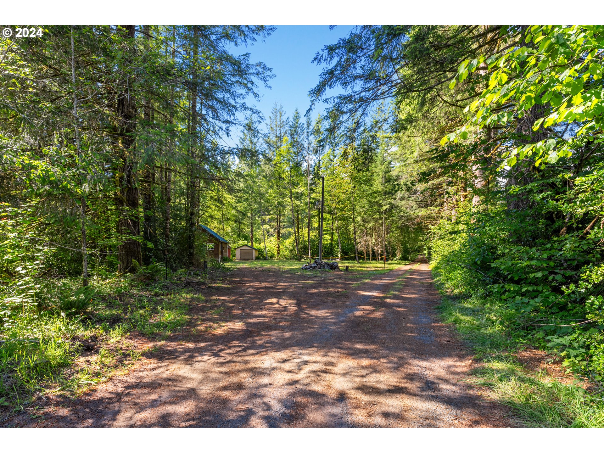 14644 Lewis River Road Ariel, WA 98603 - Photo 20 of 28 a view of a yard with plants and large trees