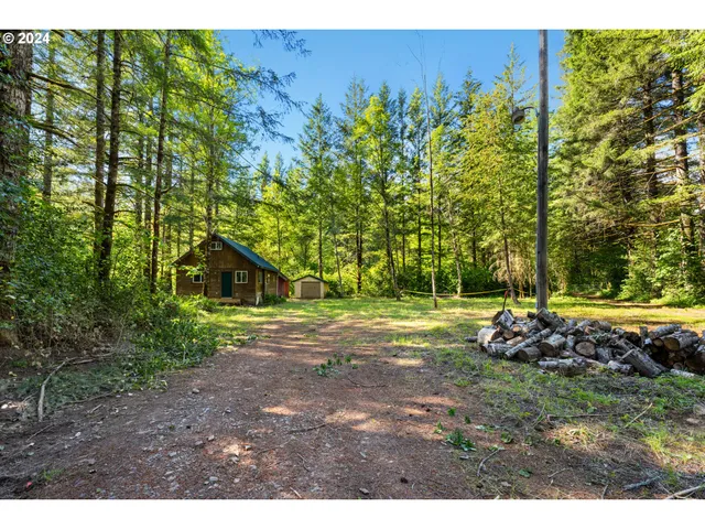 a view of a backyard