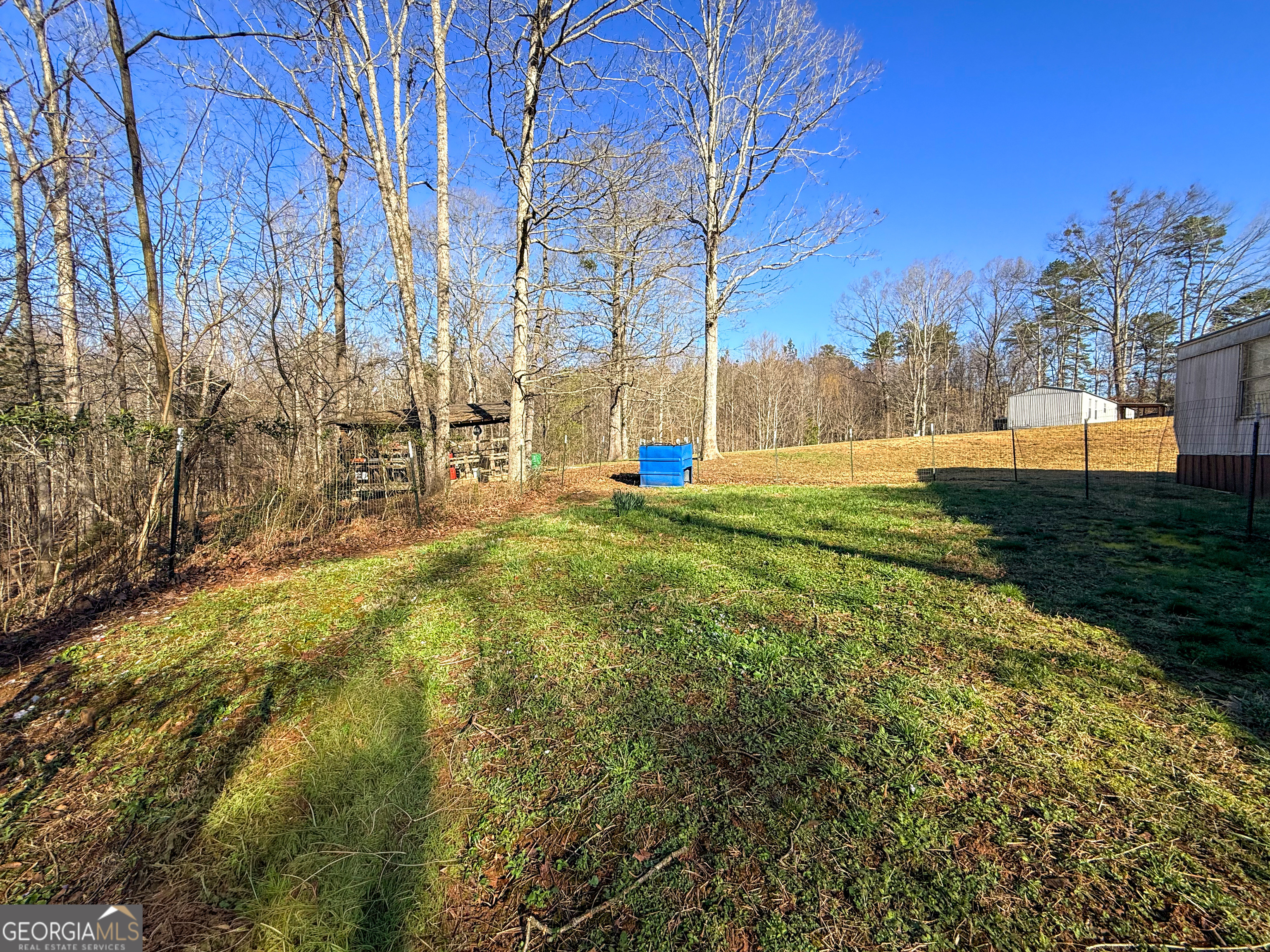 1177 Twin River Orchard Road Demorest, GA 30535 - Photo 16 of 27 a view of a yard with plants and trees