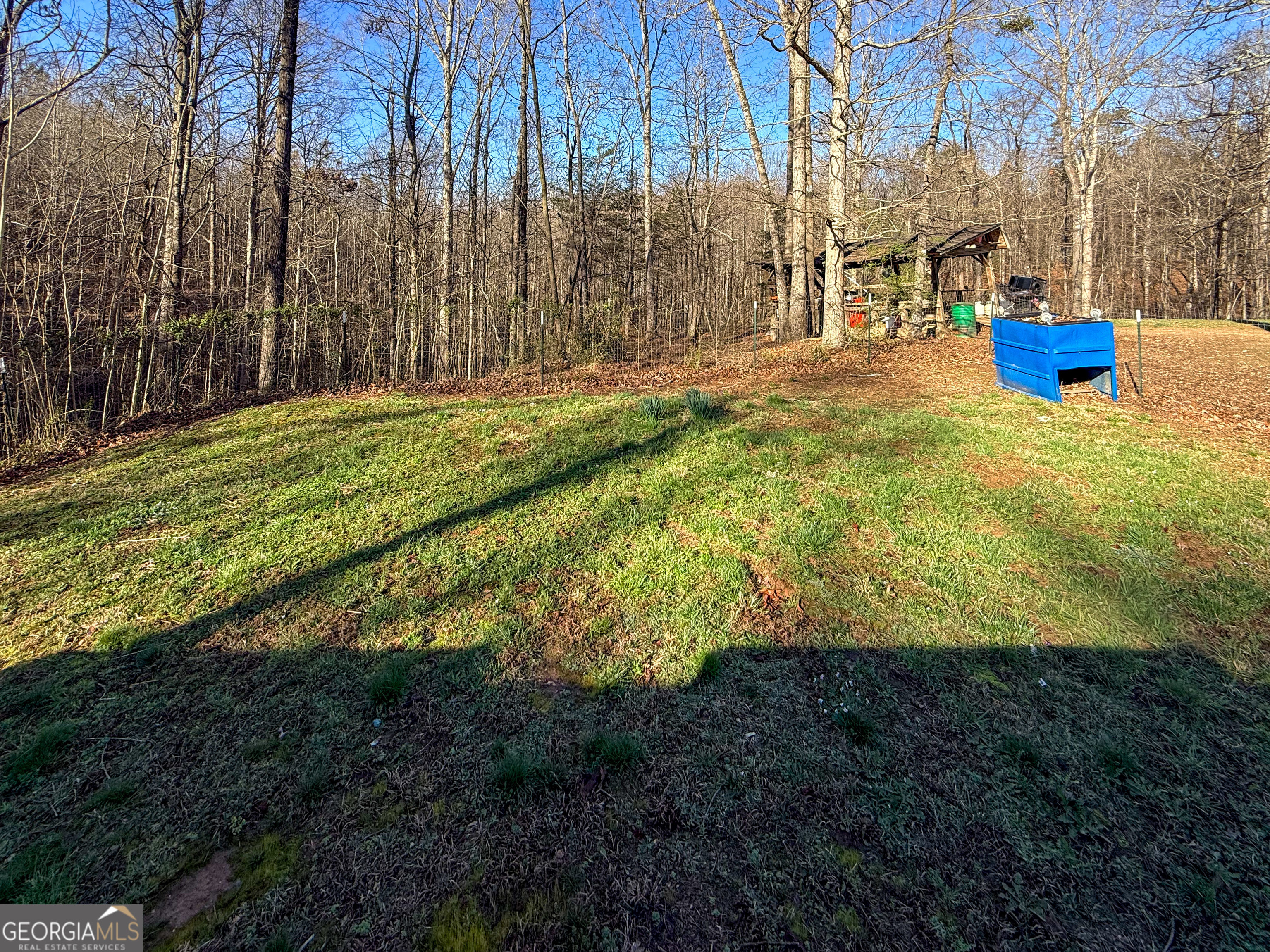 1177 Twin River Orchard Road Demorest, GA 30535 - Photo 18 of 27 a view of a yard with large trees
