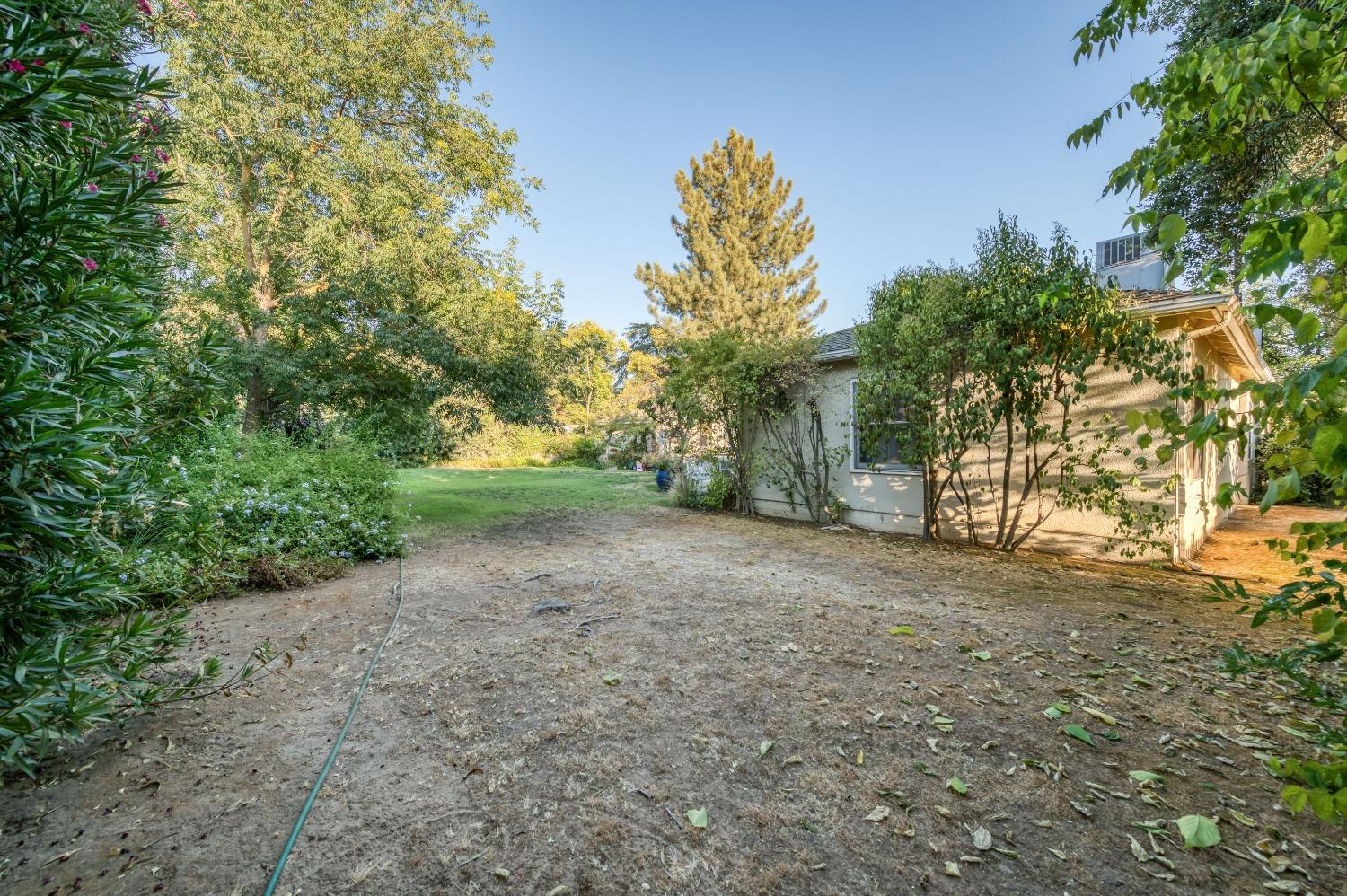 323 East Hampton Way Fresno, CA 93704 - Photo 39 of 44 a view of a dirt road and a trees