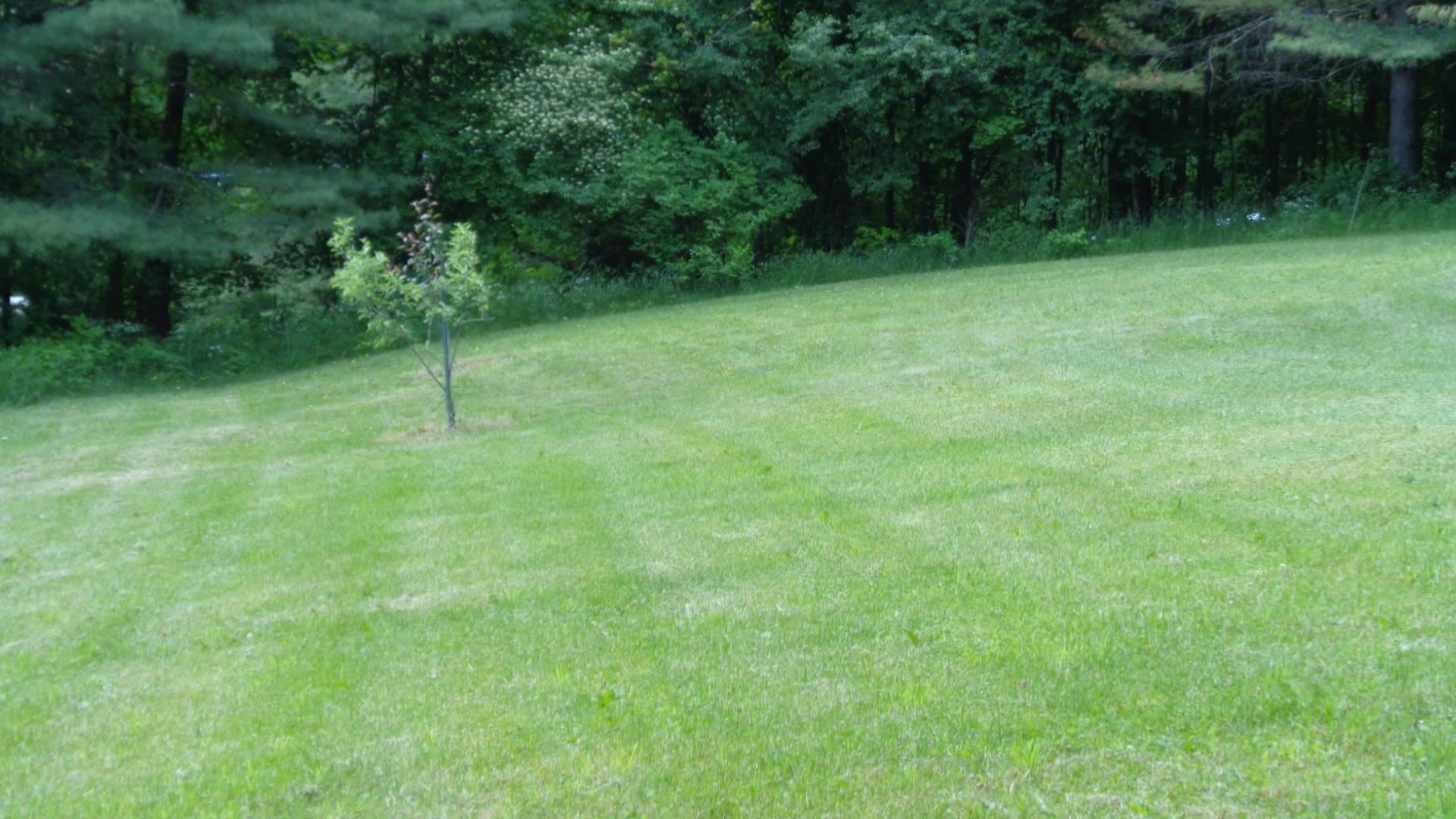 1086 Salt Box Road Randolph, VT 05061 - Photo 21 of 24