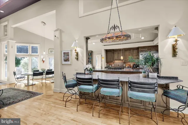 a living room with furniture potted plant and a window