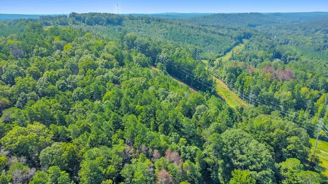 a view of a lush green forest with trees and some houses
