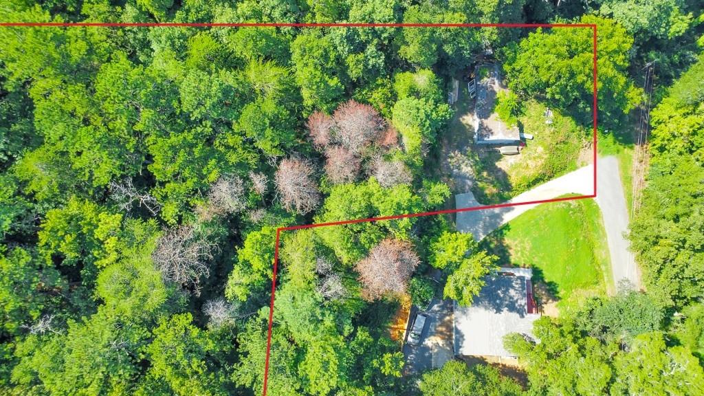 169 Jack Street Silver Creek, GA 30173 - Photo 4 of 10 a plant that is in a garden