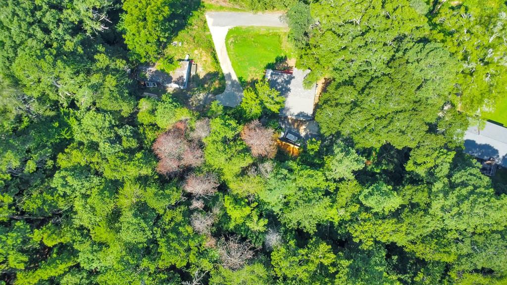 169 Jack Street Silver Creek, GA 30173 - Photo 7 of 10 a view of a plant in a garden