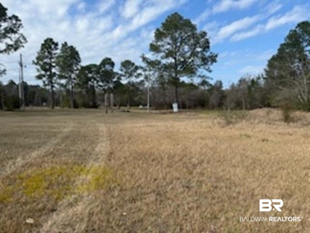 32840 Seminole Road West Seminole, AL 36574 - Photo 3 of 11 View of nature featuring rural landscape