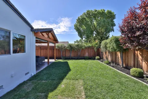a view of a backyard with couches plants and large tree