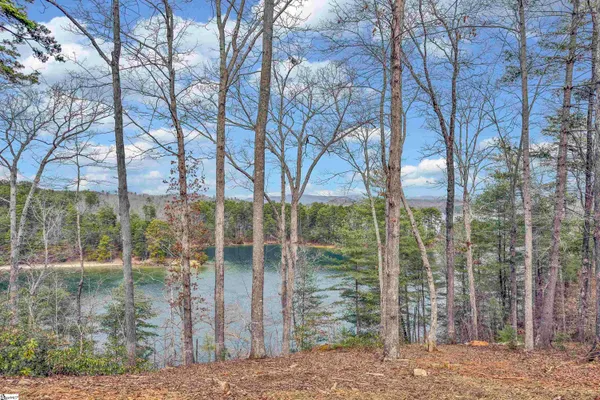$2,250,000 | 731 Barberry Court, Salem, SC 29676