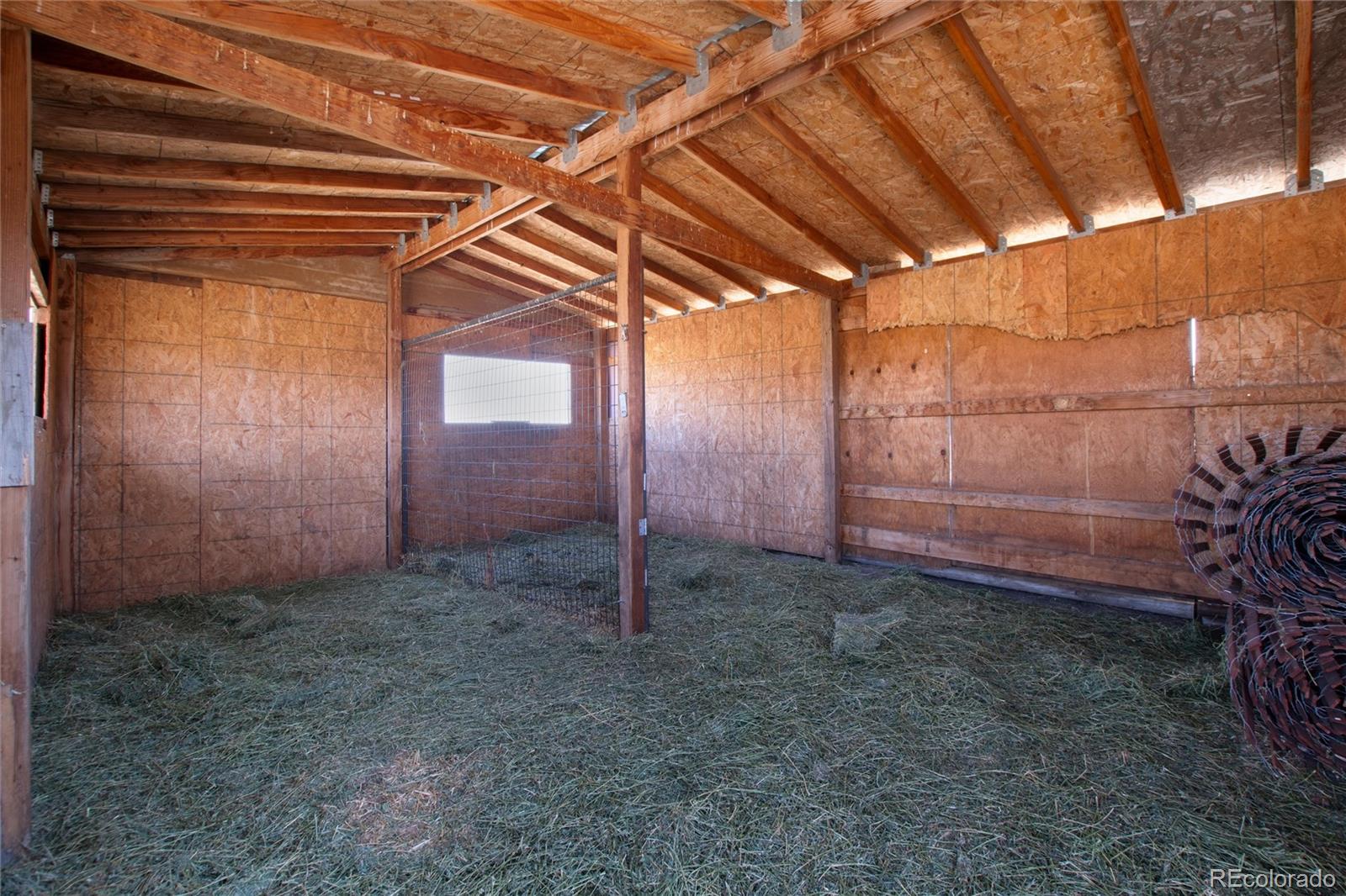 11100 Haskel Creek Road Larkspur, CO 80118 - Photo 40 of 50