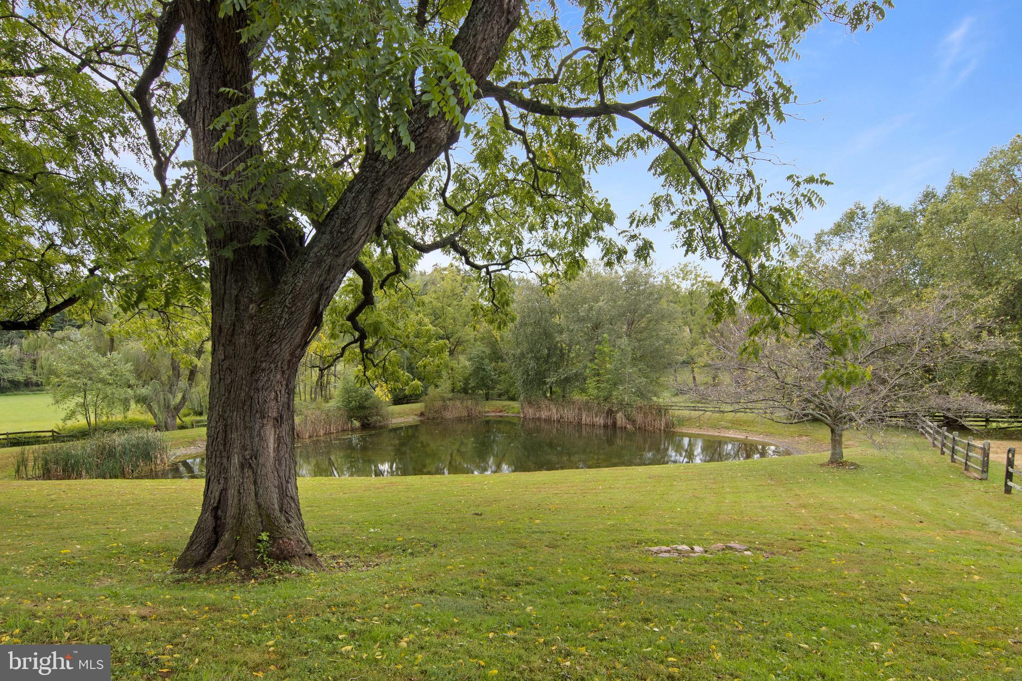375 Walter Road Cochranville, PA 19330 - Photo 42 of 49 Pond in Rear Exterior