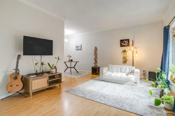 a living room with furniture and a potted plant