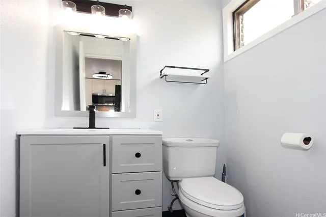 a bathroom with a toilet a sink a mirror and vanity