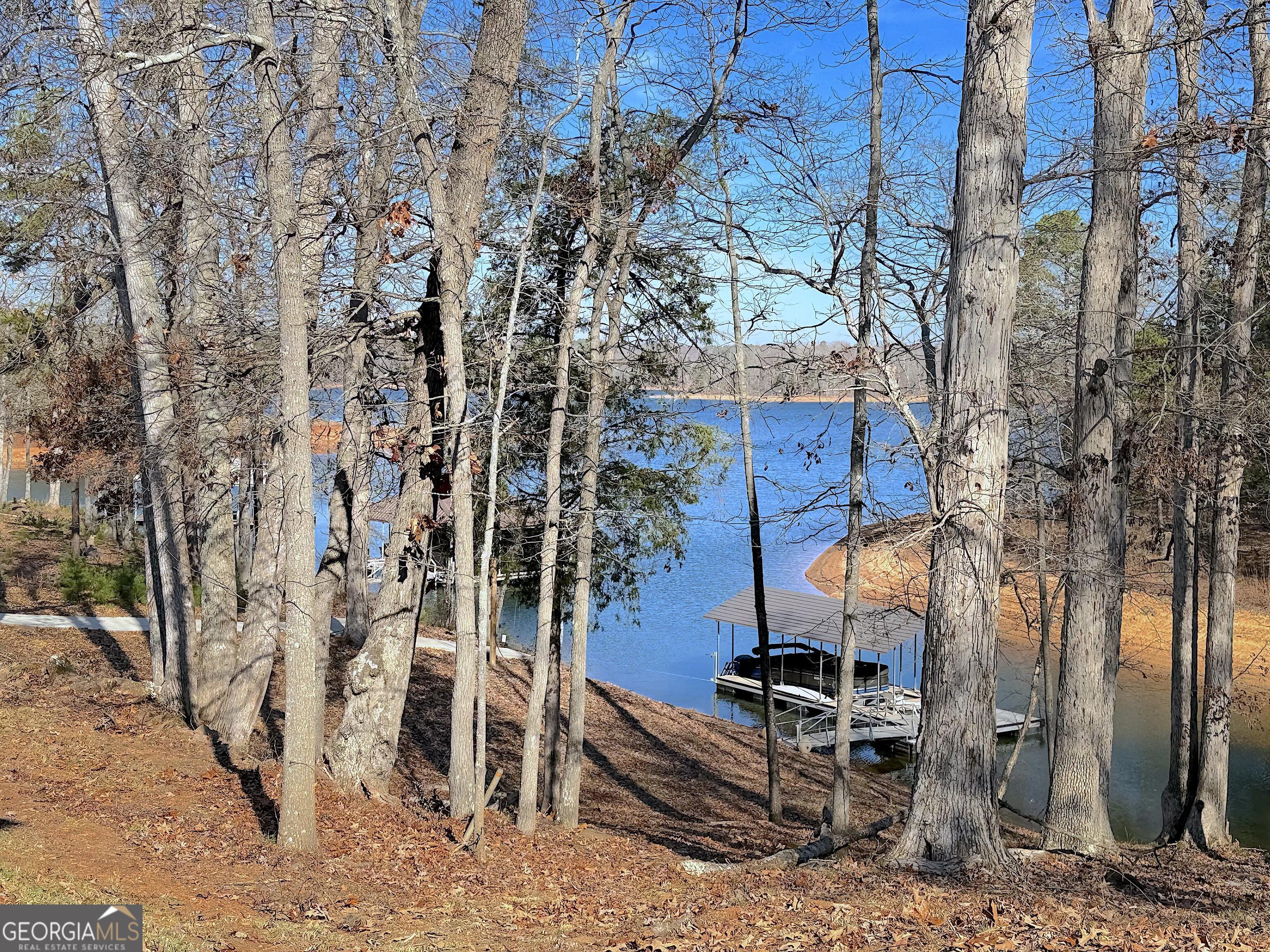 73 Yacht Club Hartwell, GA 30643 - Photo 64 of 71