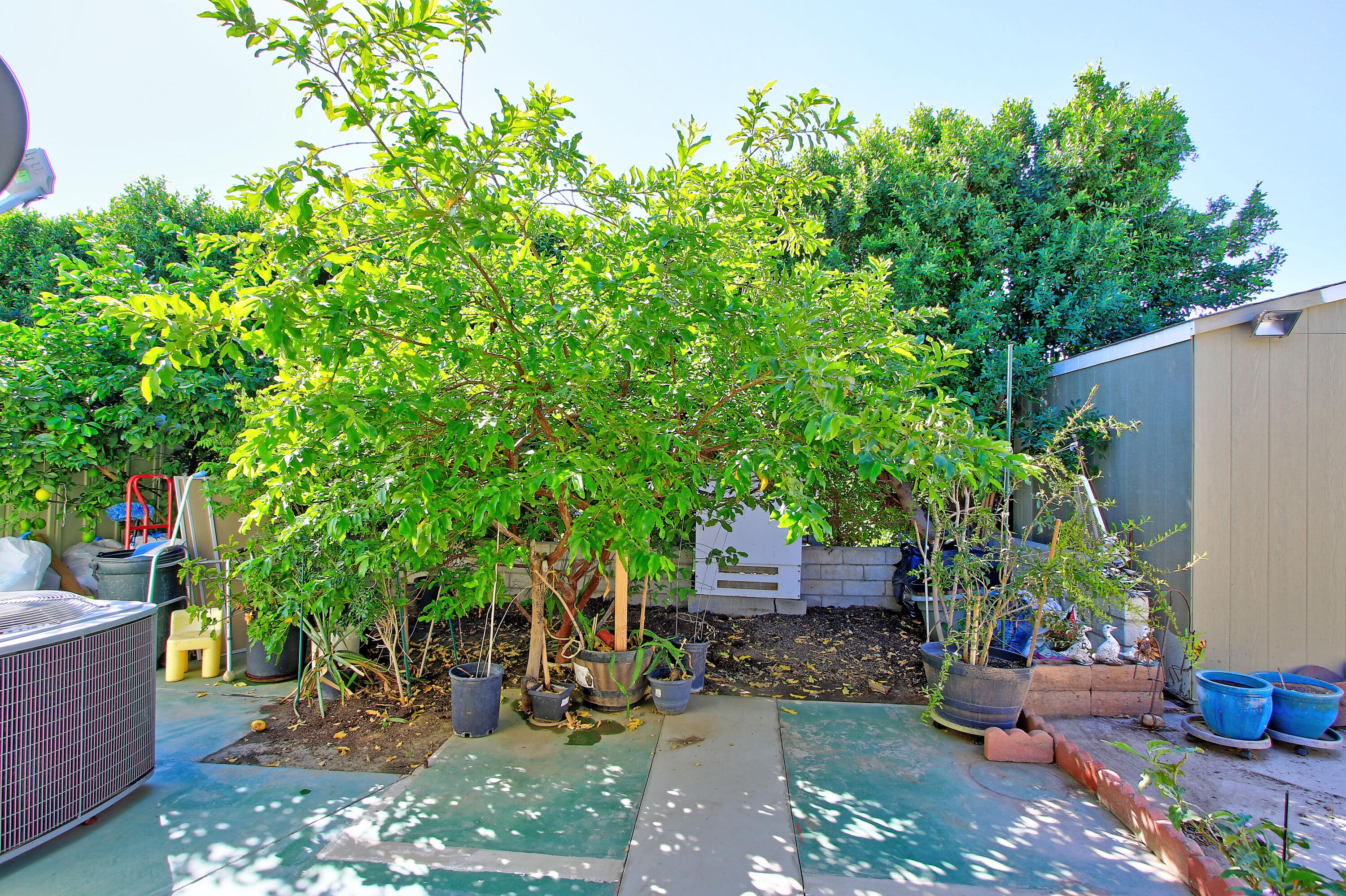 46618 Madison Street, Unit 98 Indio, CA 92201 - Photo 11 of 31 x (5)