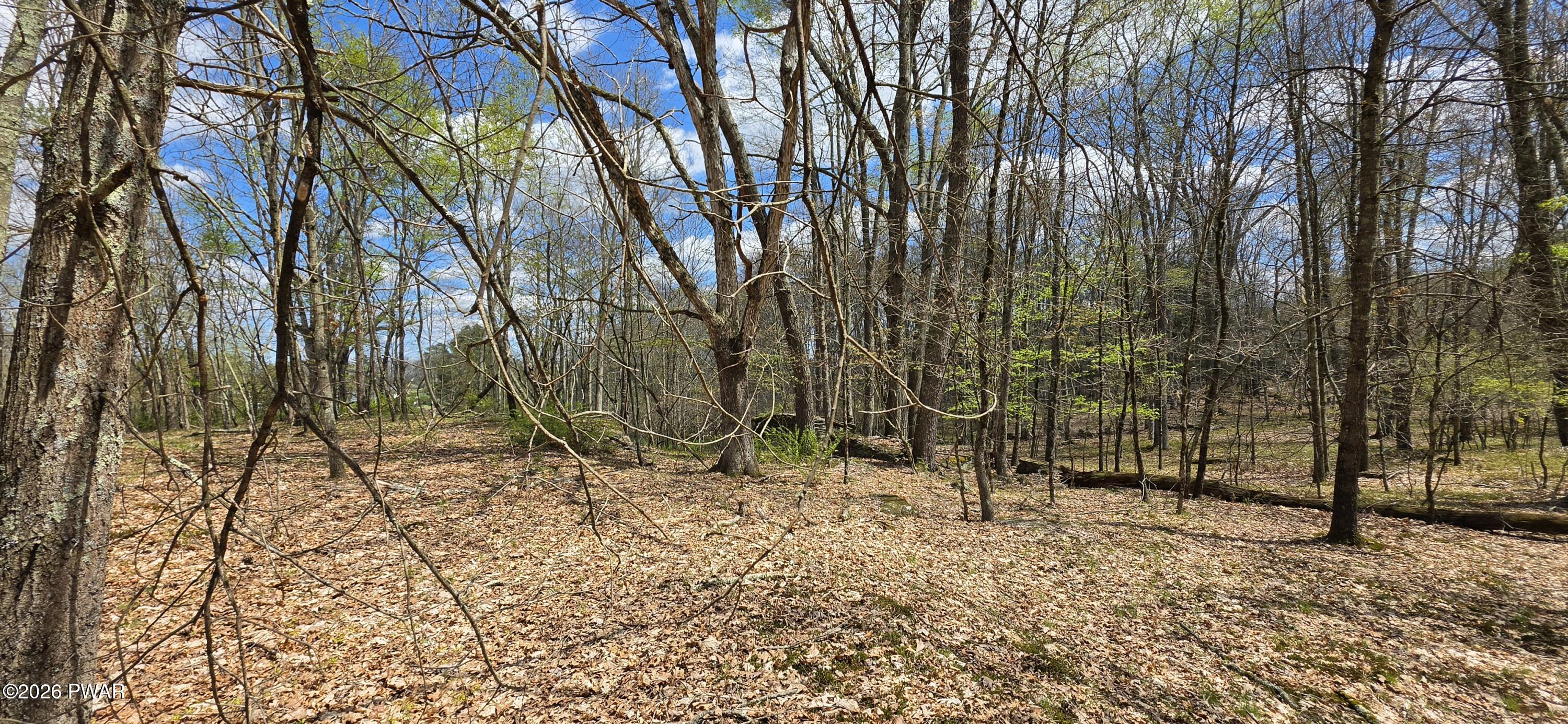 Lot 17.14 Skipperene Road Narrowsburg, NY 12764 - Photo 12 of 15