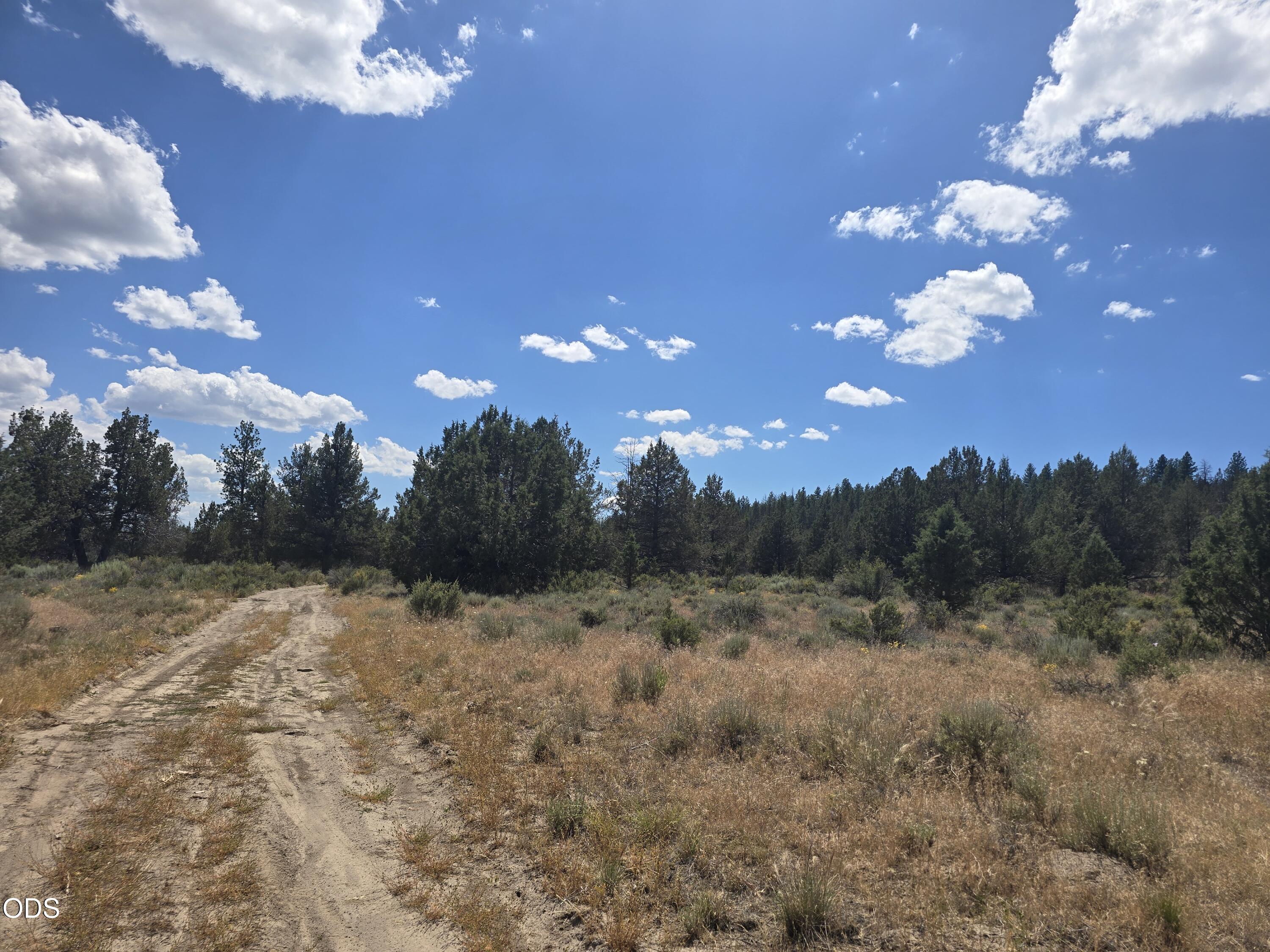 Tableland Road, Unit 700 Chiloquin, OR 97624 - Photo 3 of 12