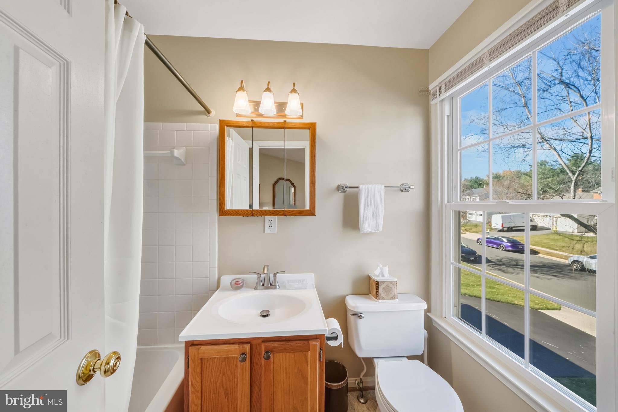 20 Allenhurst Court Gaithersburg, MD 20878 - Photo 46 of 57 a bathroom with a sink toilet and shower