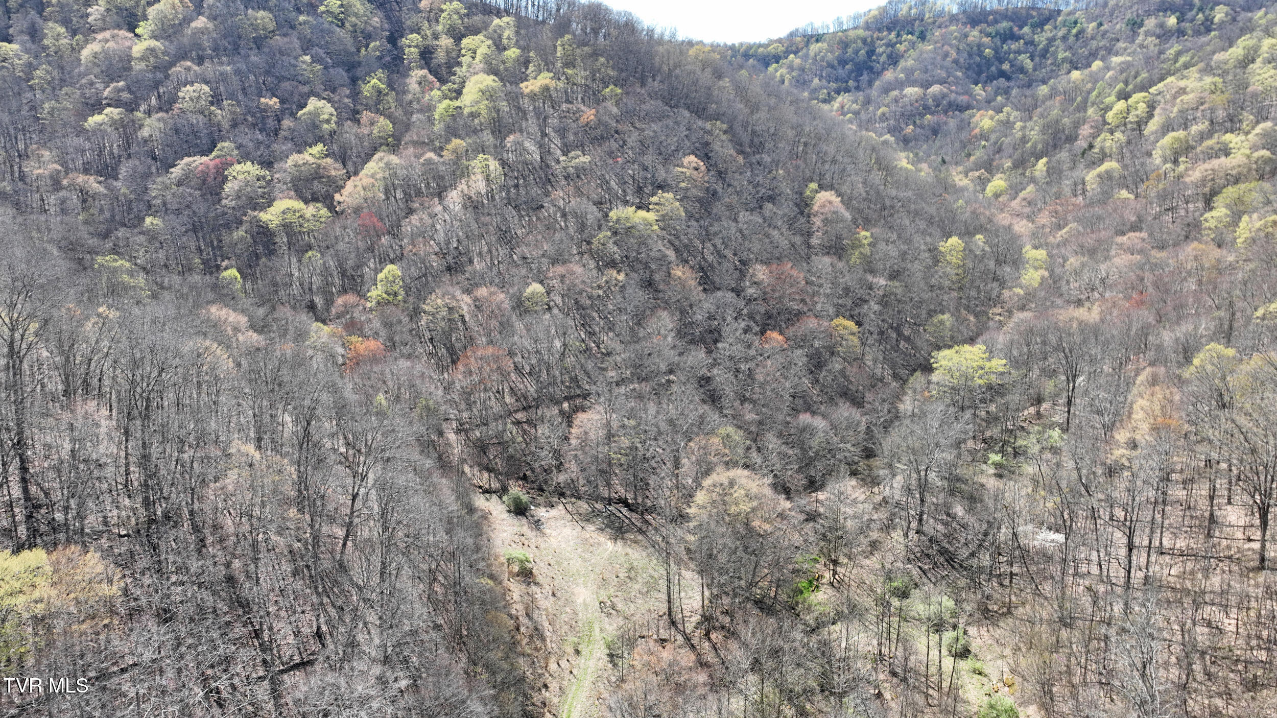 0 Guesses Fork Road Hurley, VA 24620 - Photo 26 of 31 IMG_7465