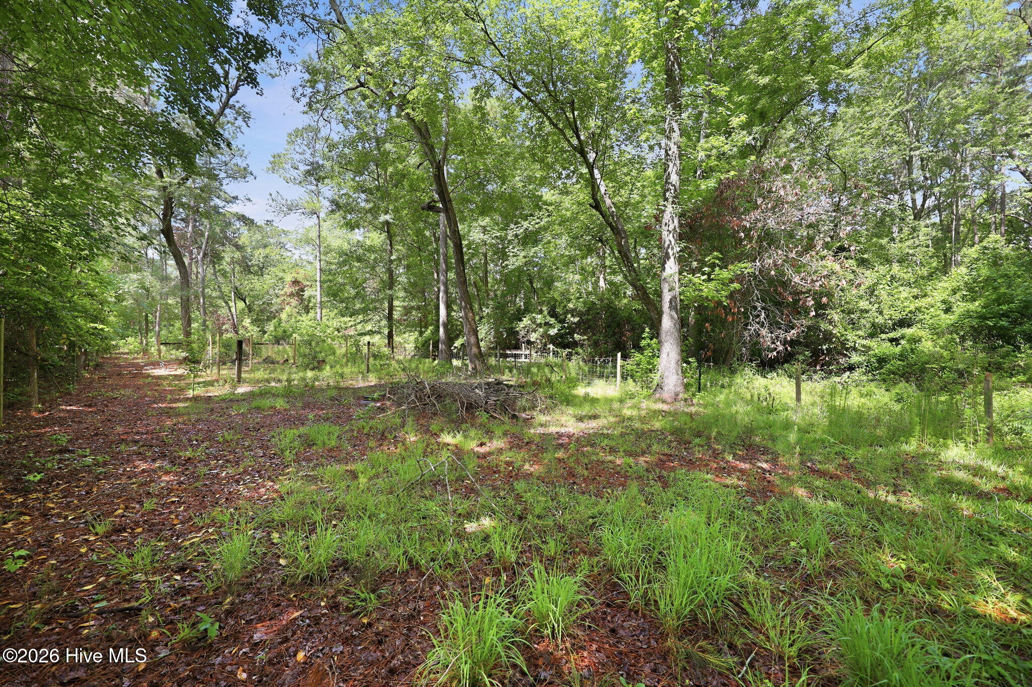 1040 Broad Creek Road New Bern, NC 28560 - Photo 28 of 47 Additional yard space!