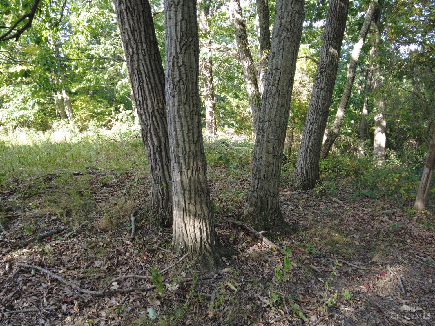 Ac Union Hill Road Peebles, OH 45660 - Photo 17 of 29