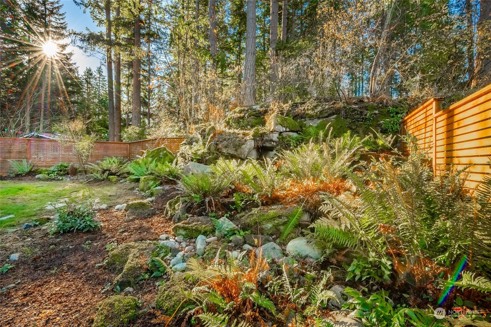 624 Clark Road Bellingham, WA 98225 - Photo 37 of 40 a view of a yard with plants and trees