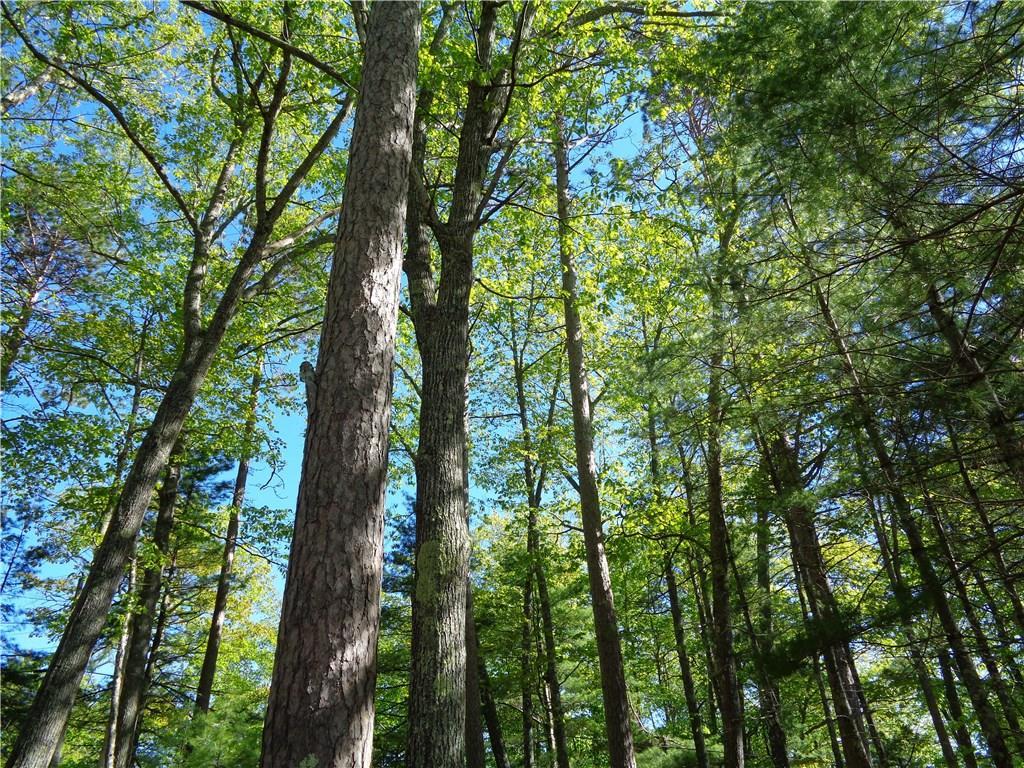 557 Scotts Neck Road Ellsworth, ME 04605 - Photo 16 of 28 Photo
