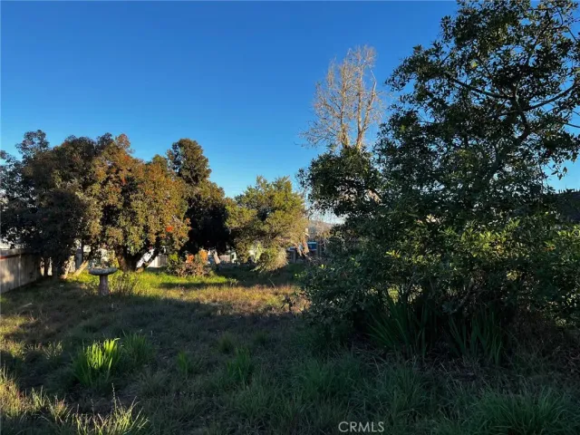 a view of a big yard with large trees