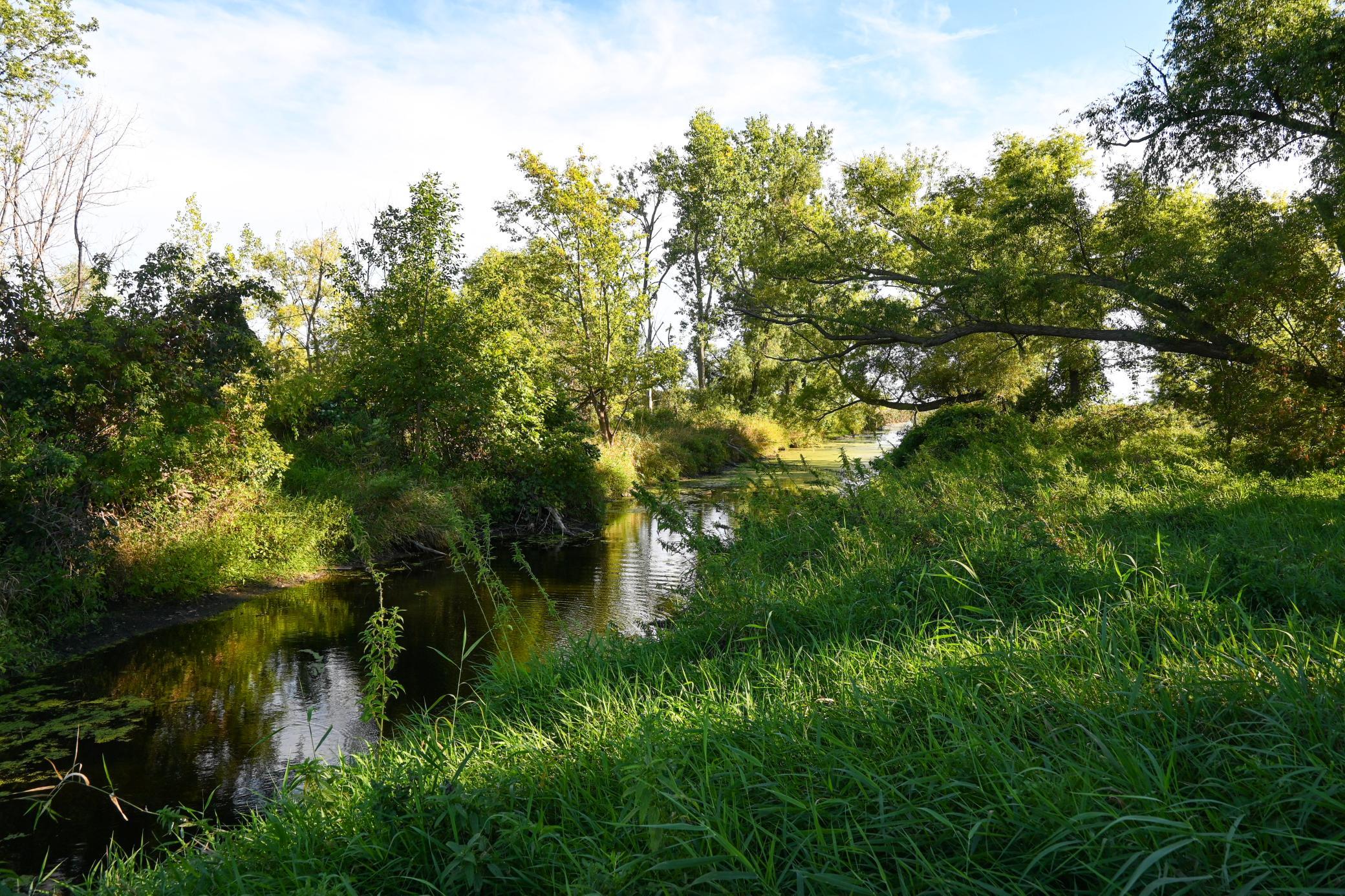 0 State Highway Nicollet, MN 56074 - Photo 10 of 37 Gallery Image 10