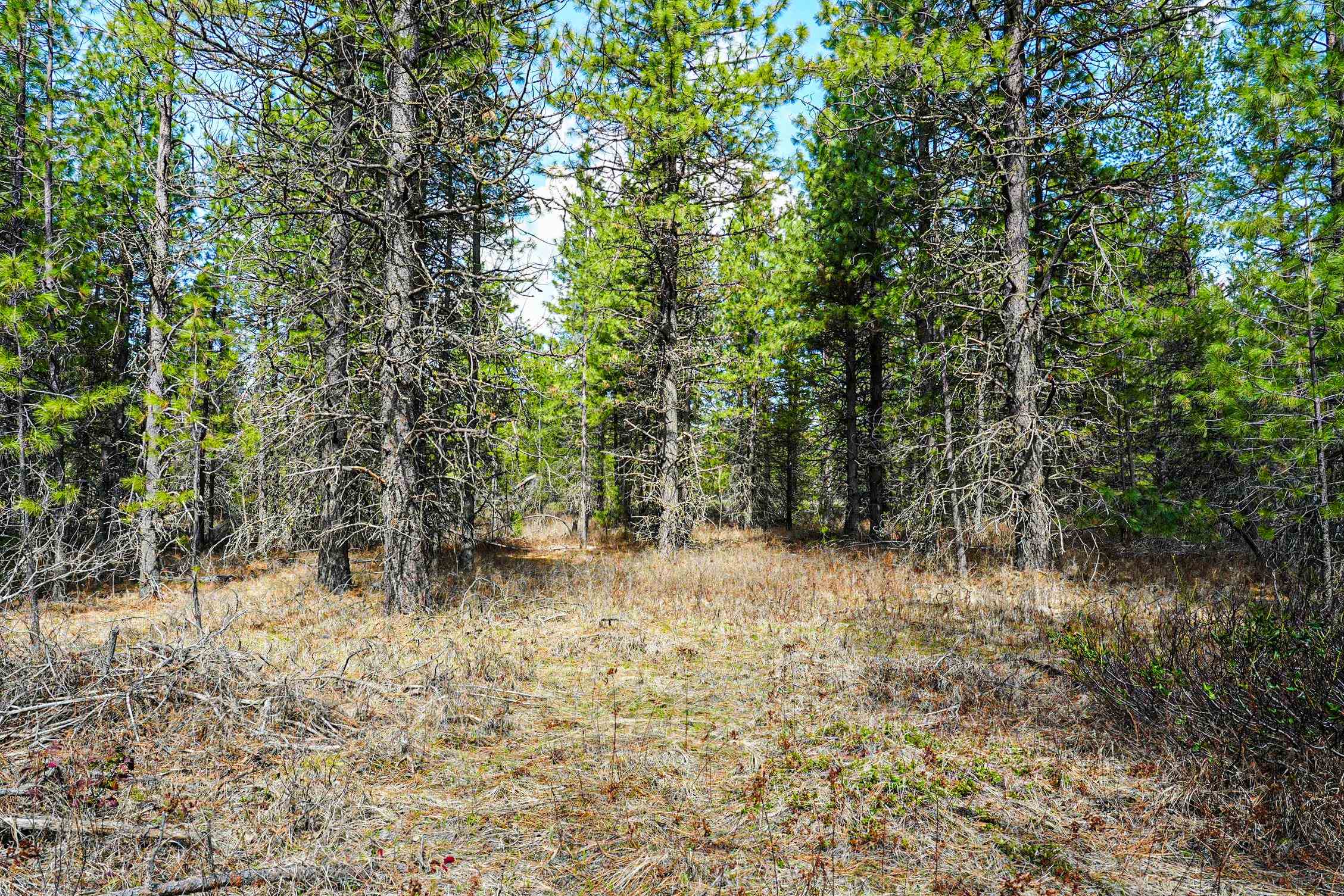 Xxx East Xxx E Slaton Road Deer Park, WA 99006 - Photo 13 of 22