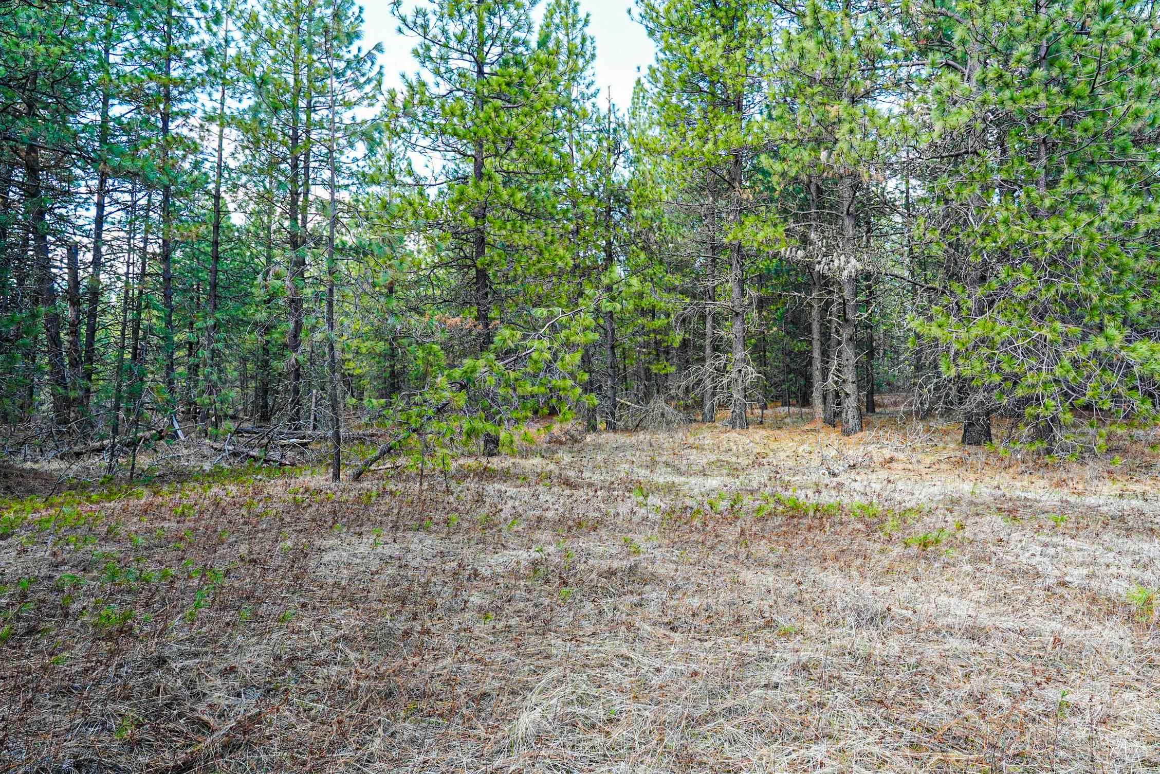Xxx East Xxx E Slaton Road Deer Park, WA 99006 - Photo 14 of 22