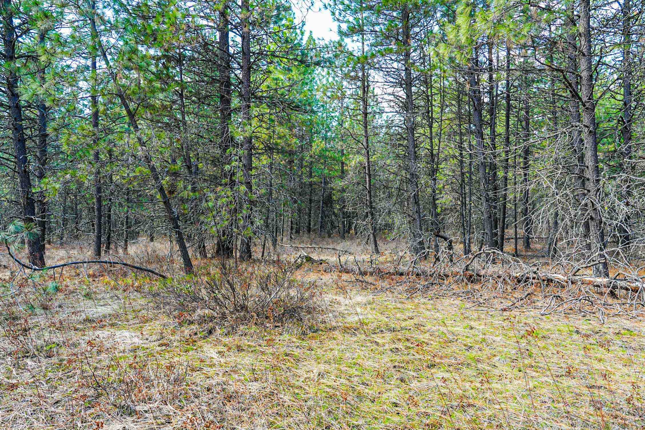Xxx East Xxx E Slaton Road Deer Park, WA 99006 - Photo 15 of 22