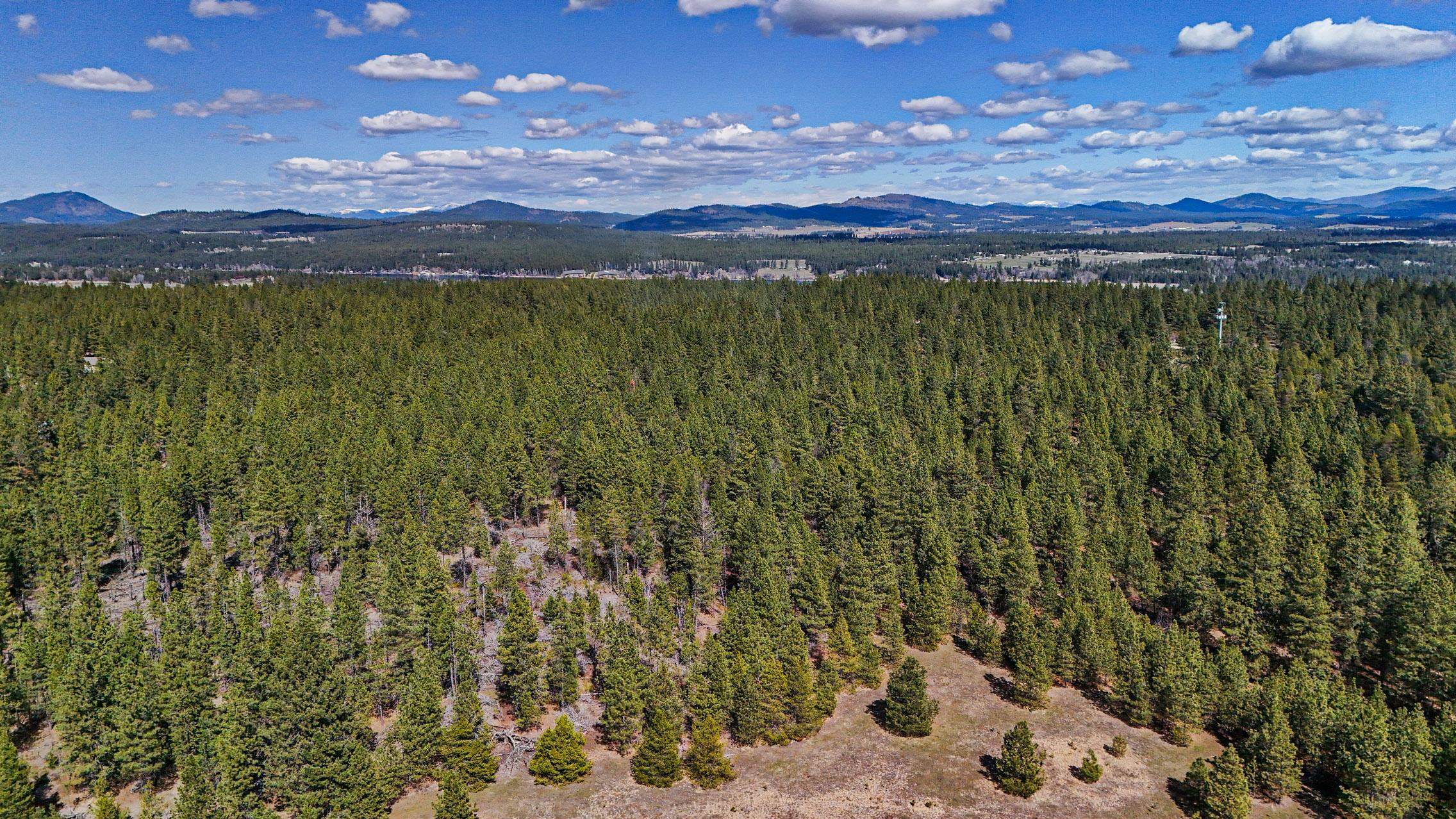 Xxx East Xxx E Slaton Road Deer Park, WA 99006 - Photo 17 of 22