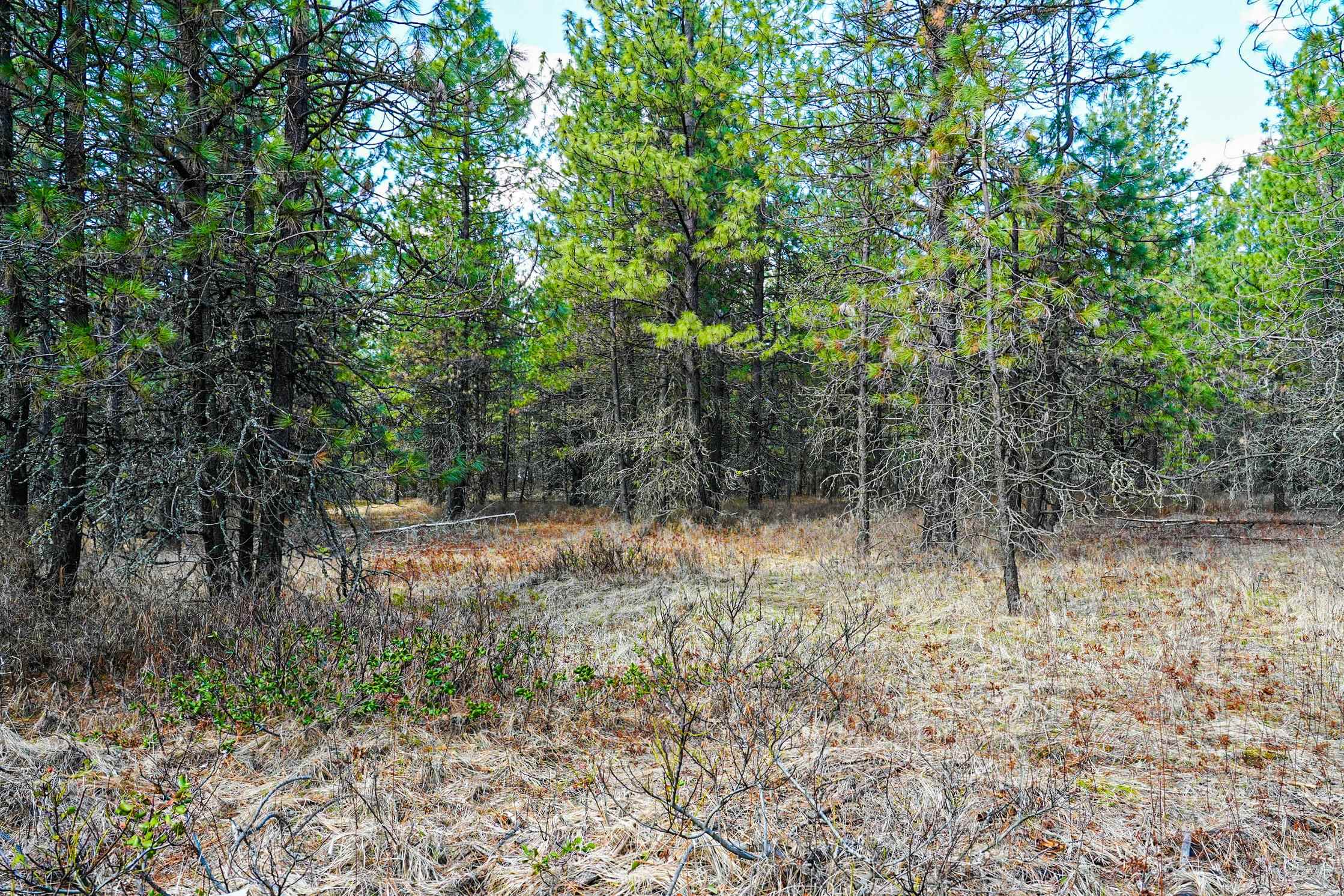 Xxx East Xxx E Slaton Road Deer Park, WA 99006 - Photo 20 of 22