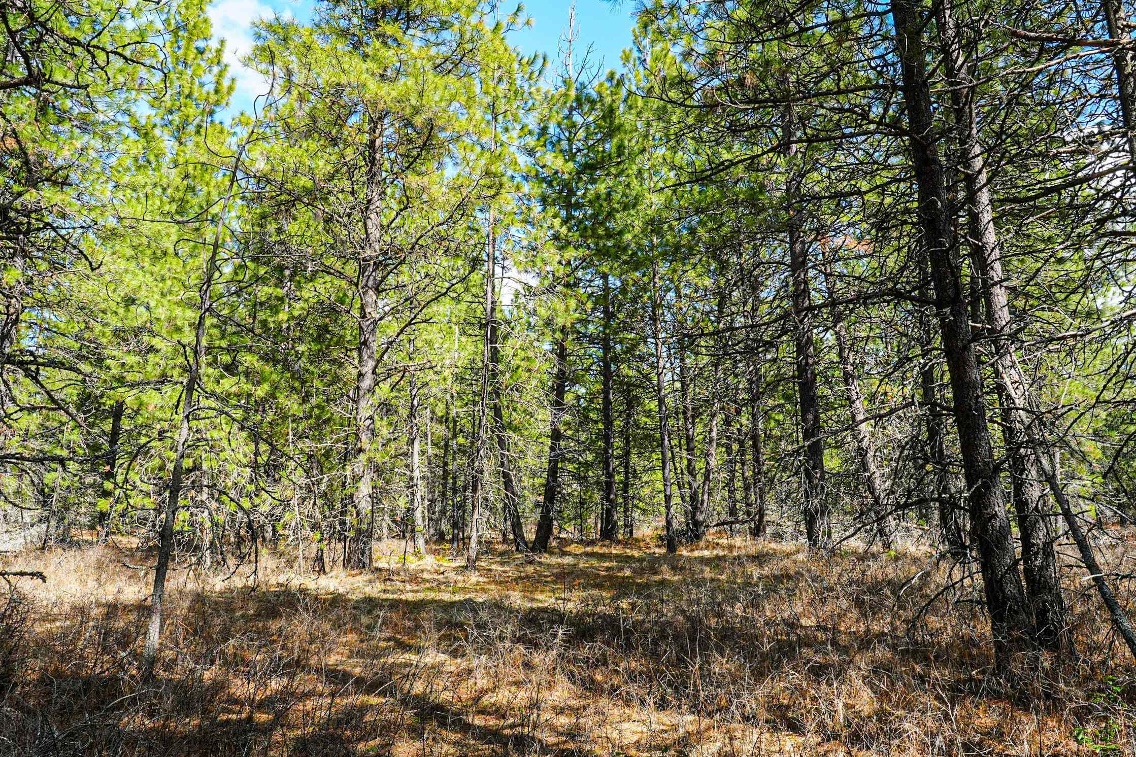 Xxx East Xxx E Slaton Road Deer Park, WA 99006 - Photo 21 of 22