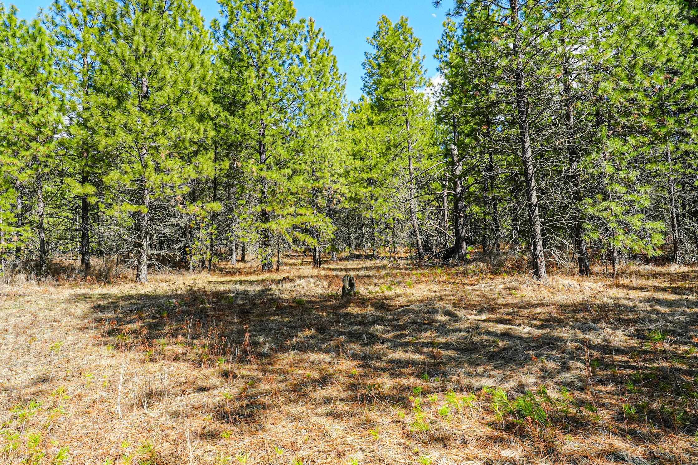 Xxx East Xxx E Slaton Road Deer Park, WA 99006 - Photo 22 of 22