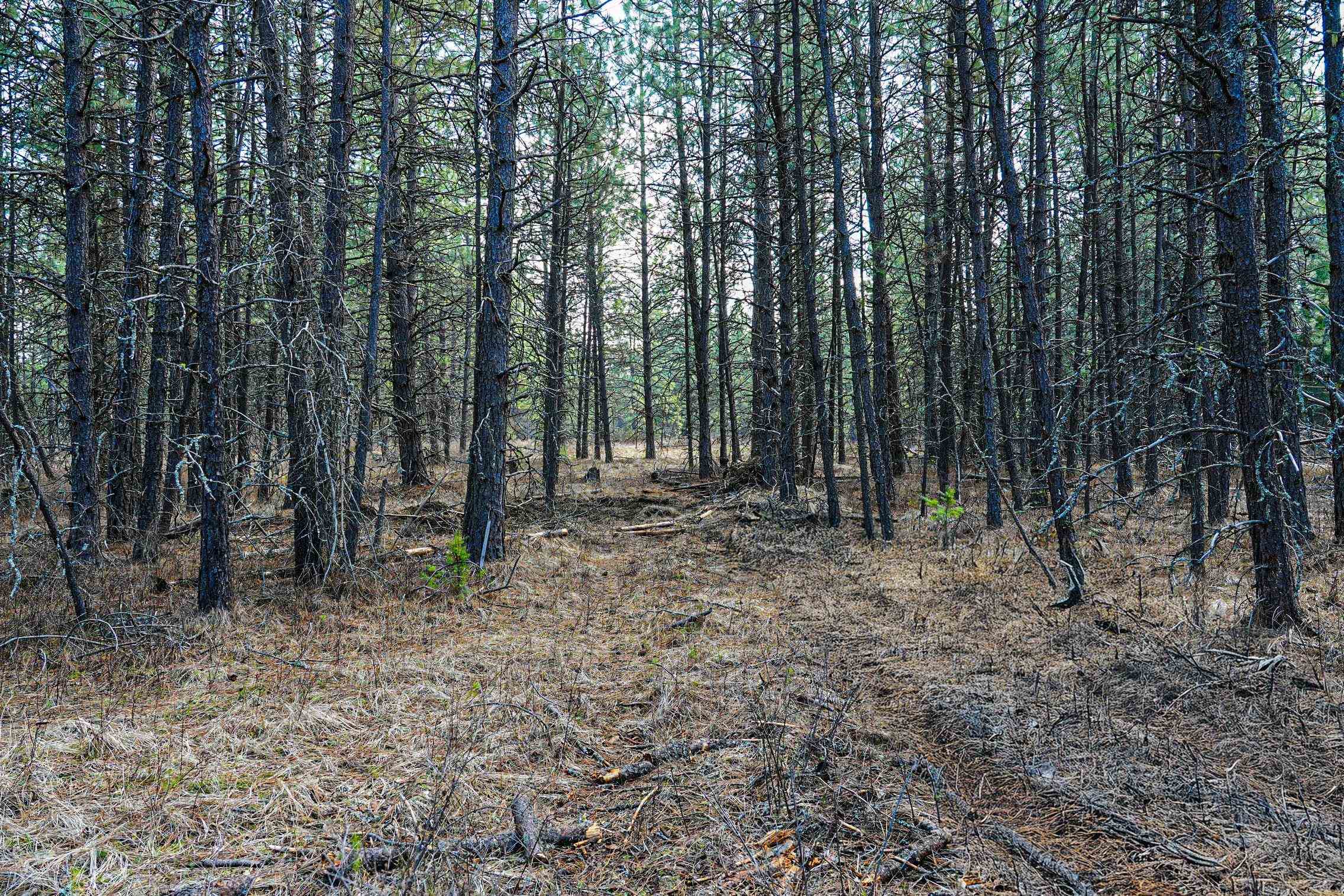 Xxx East Xxx E Slaton Road Deer Park, WA 99006 - Photo 4 of 22