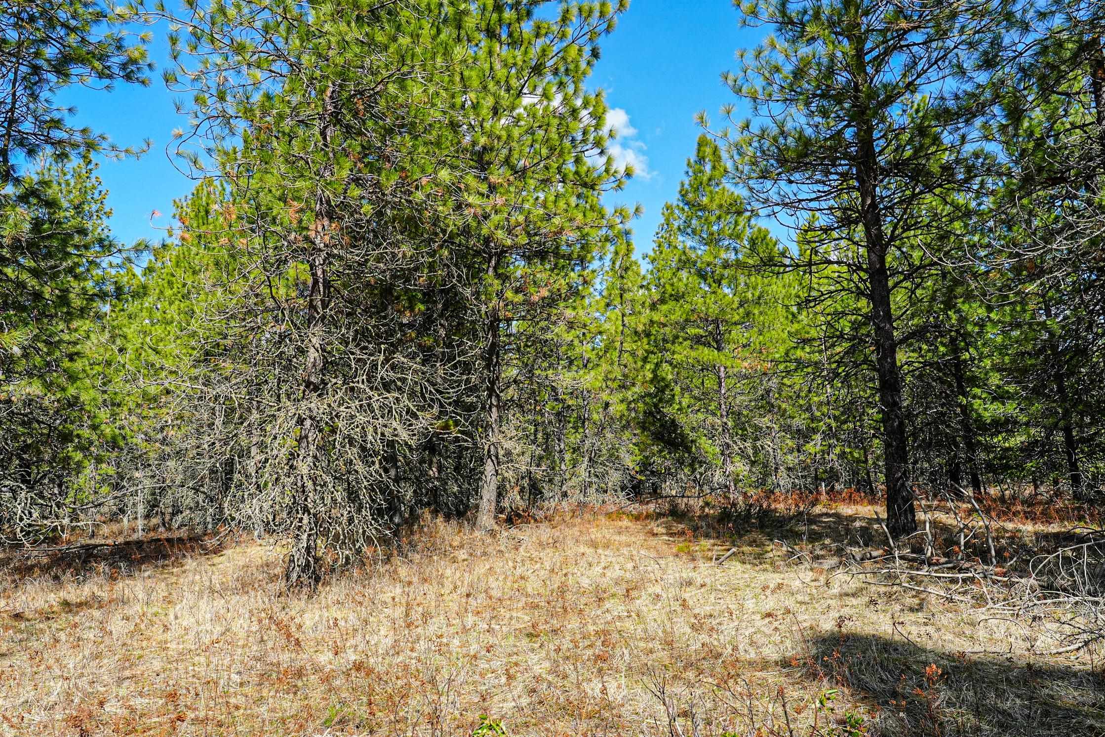 Xxx East Xxx E Slaton Road Deer Park, WA 99006 - Photo 5 of 22