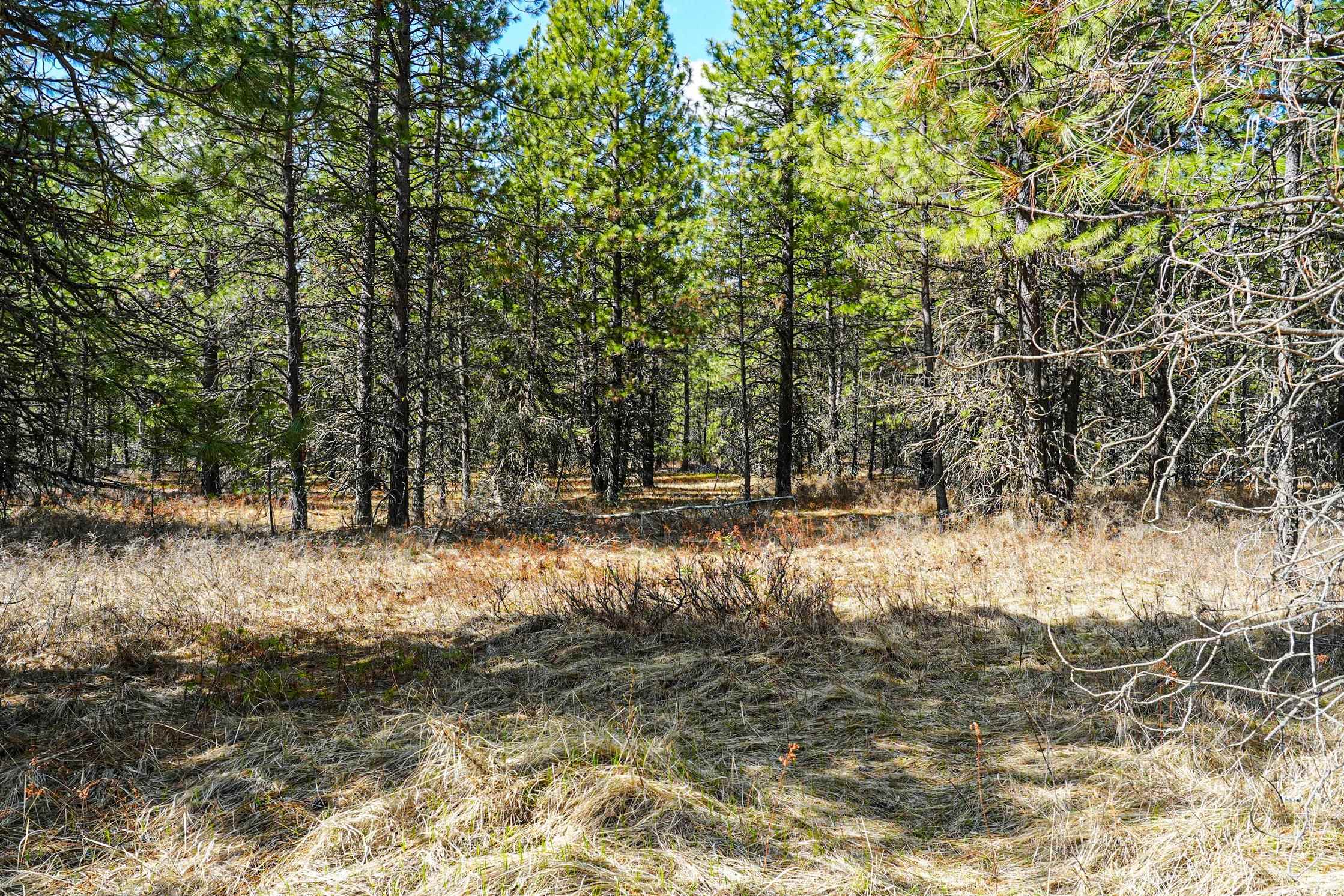 Xxx East Xxx E Slaton Road Deer Park, WA 99006 - Photo 6 of 22
