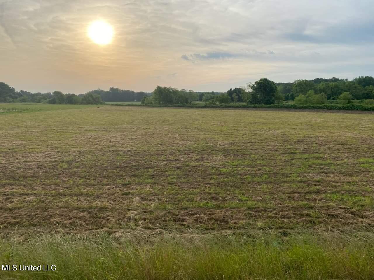 5670 Robertson Gin Road Hernando, MS 38632 - Photo 1 of 2 Lot