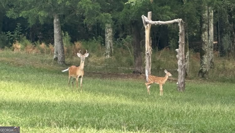 0 Bobby Brown State Park Road Elberton, GA 30635 - Photo 3 of 3 a backyard of a house with table and chairs