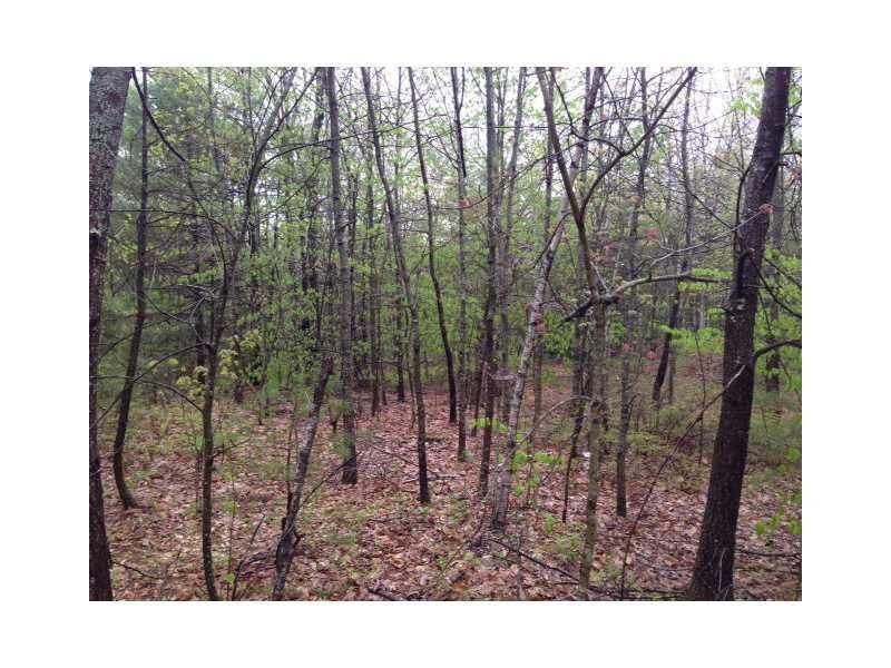 24 B Williams Road Lyman, ME 04002 - Photo 2 of 2 Land/Lot.