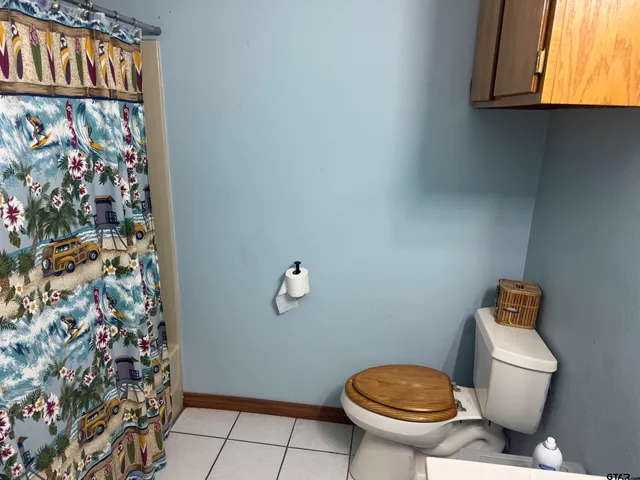 a white toilet sitting next to a shower curtain